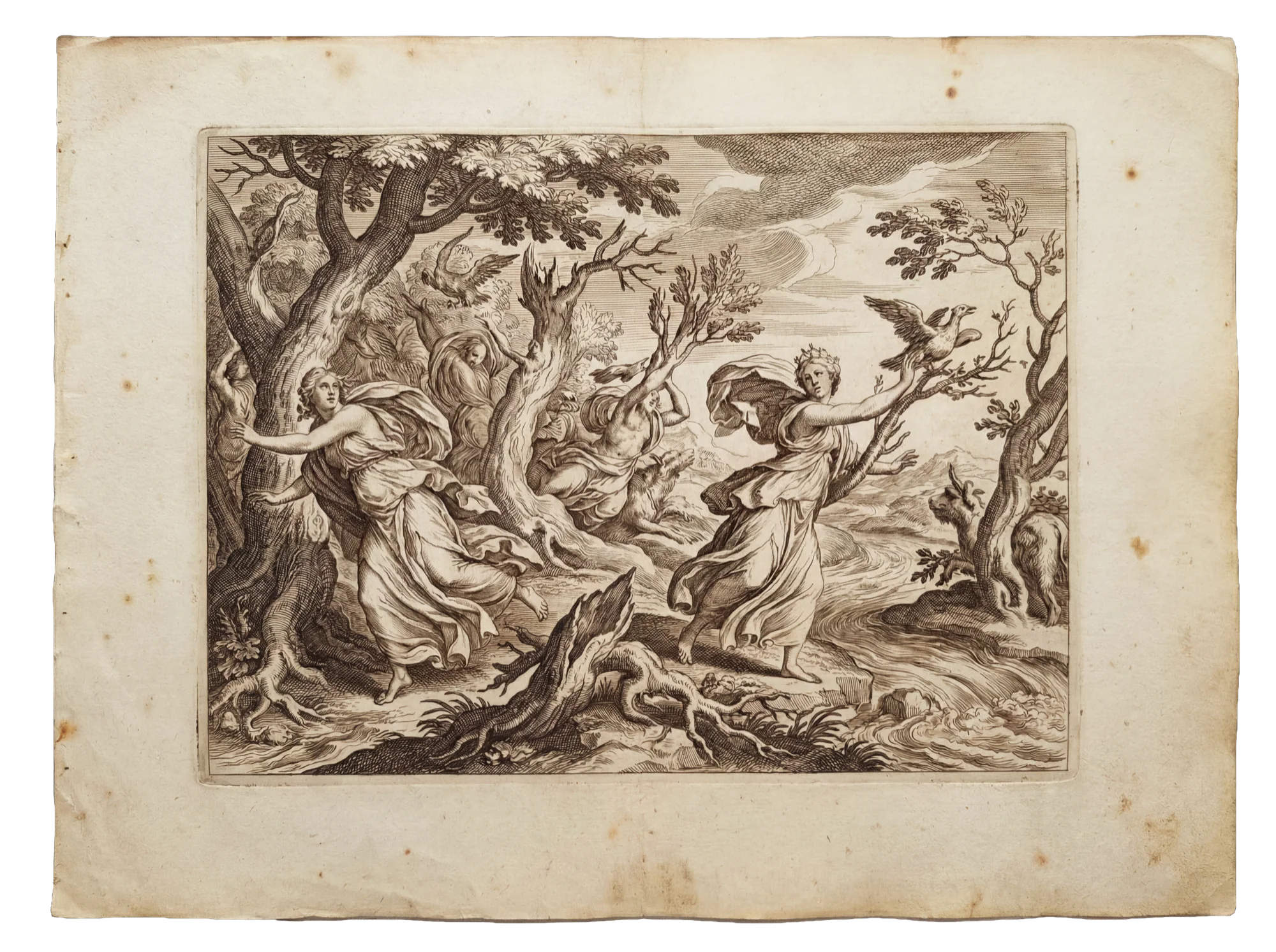 Classical mythology — metamorphosis and transformation