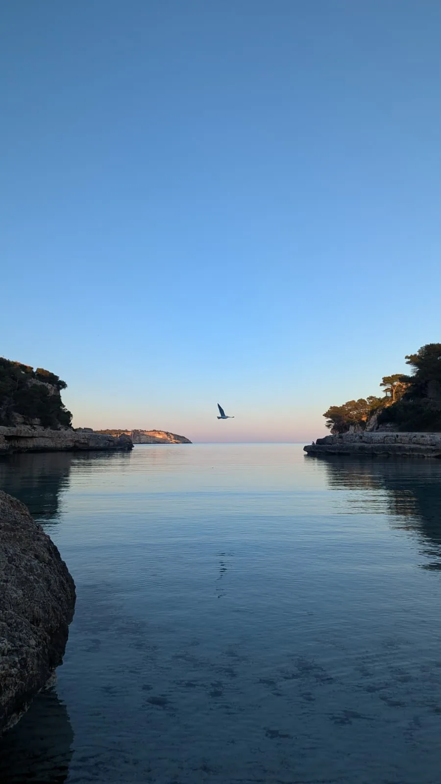 Dusk over a Mallorca cove, a single bird in flight